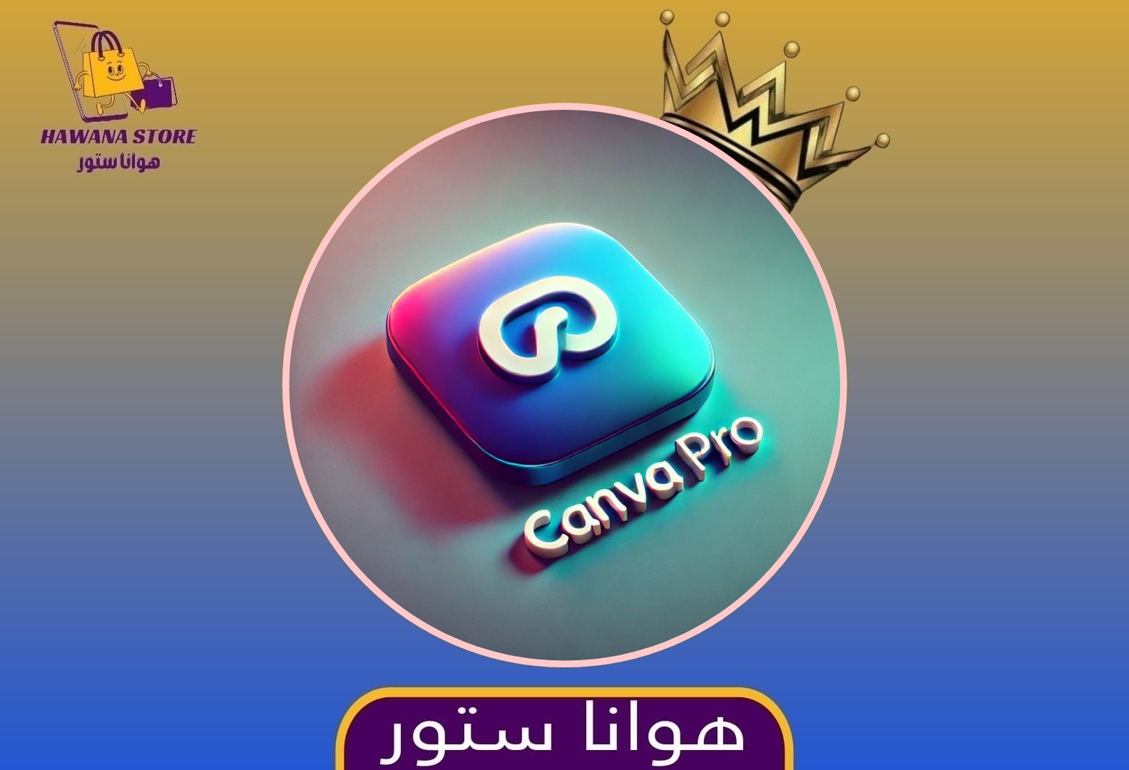 ✨Canva✨