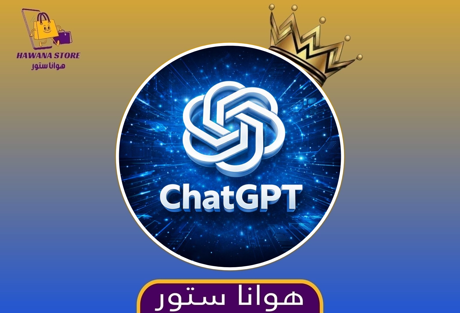 ✨Chat GPT✨